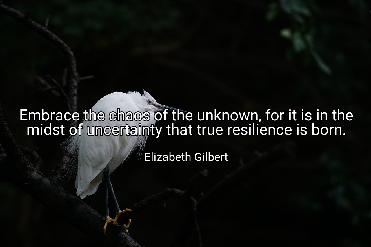 Embrace the chaos of the unknown, for it is in the midst of uncertainty that true resilience is born. - Elizabeth Gilbert
