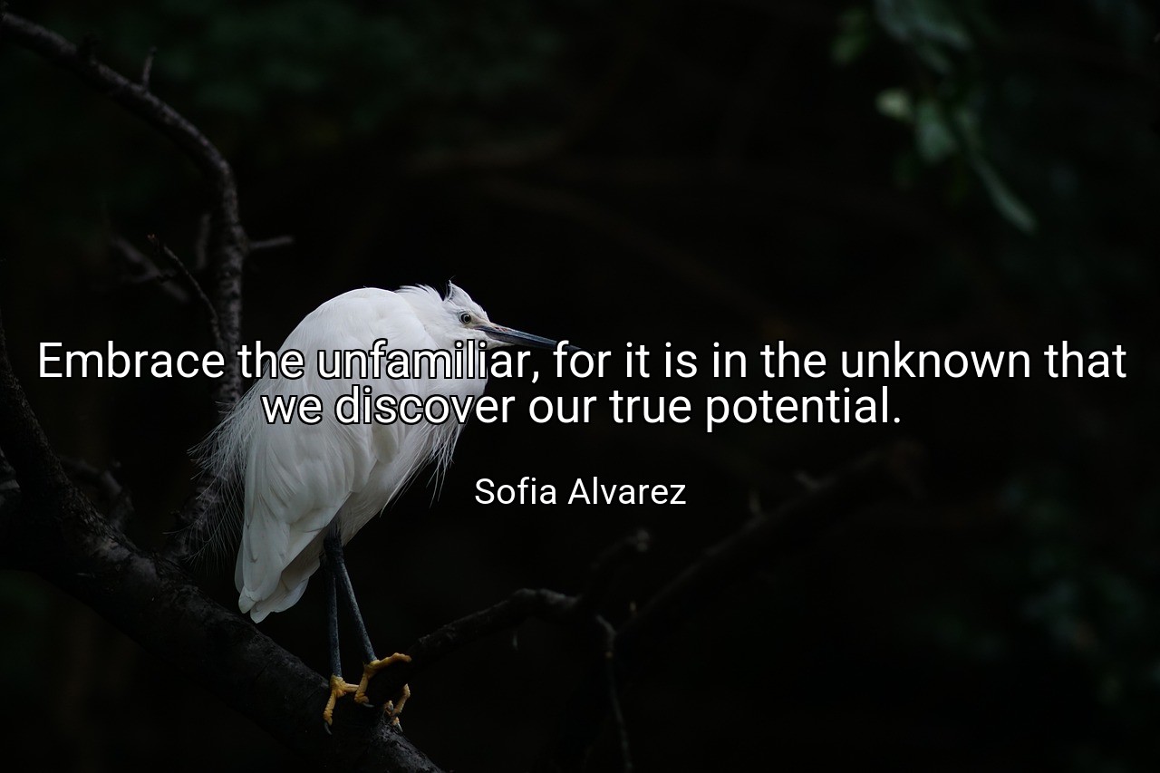Embrace the unfamiliar, for it is in the unknown that we discover our true potential. - Sofia Alvarez