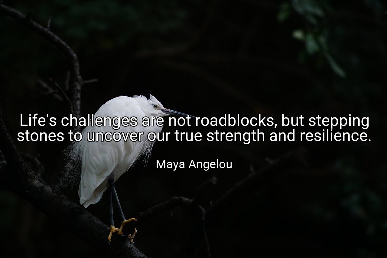Life's challenges are not roadblocks, but stepping stones to uncover our true strength and resilience. - Maya Angelou
