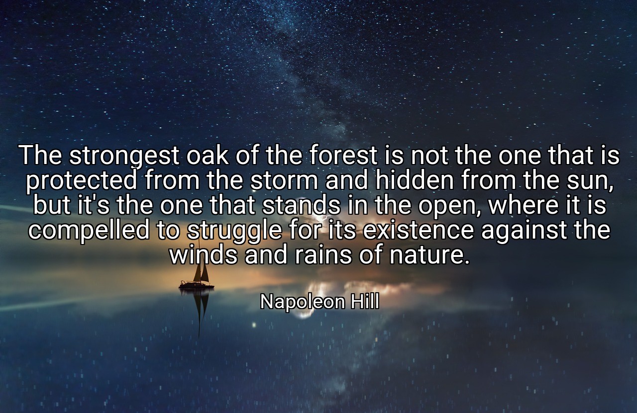 The strongest oak of the forest is not the one that is protected from the storm and hidden from the sun, but it's the one that stands in the open, where it is compelled to struggle for its existence against the winds and rains of nature. - Napoleon Hill