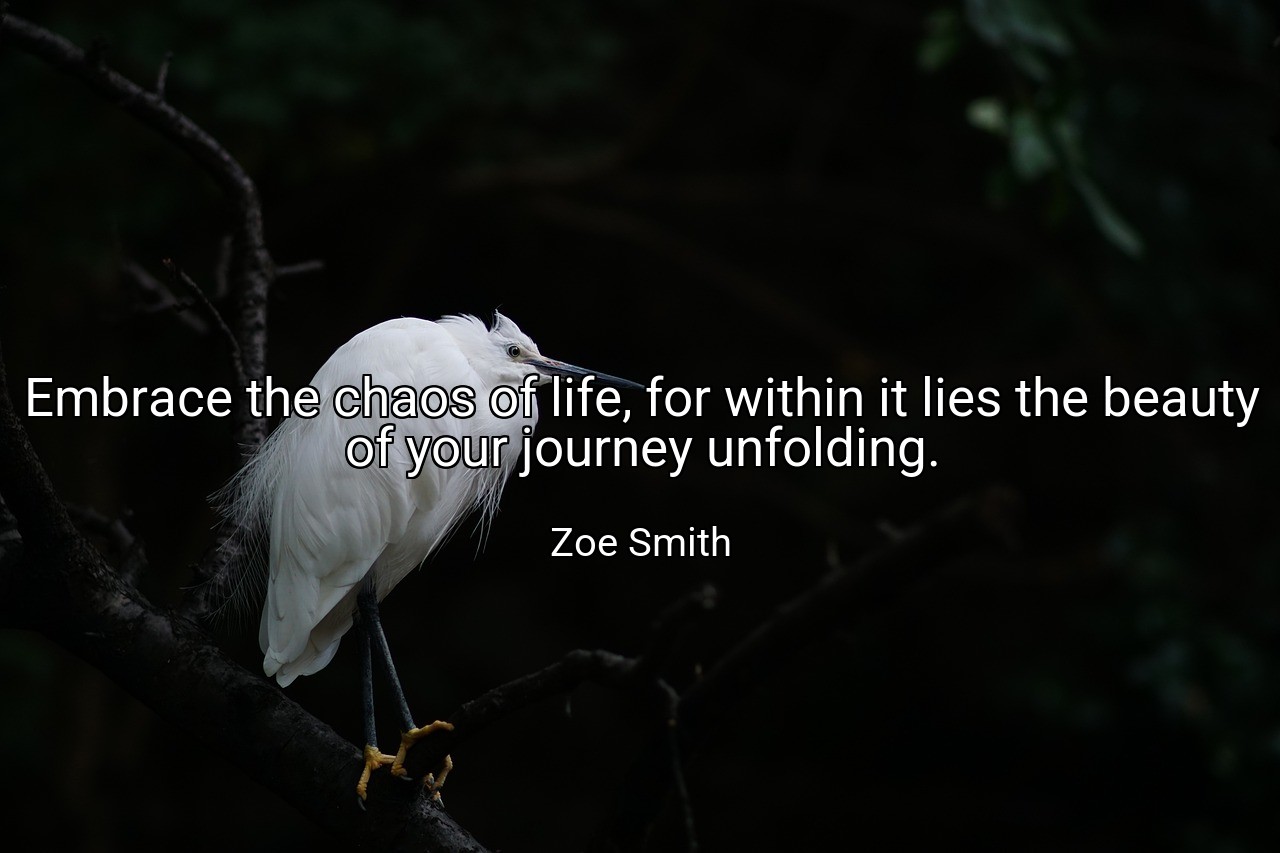 Embrace the chaos of life, for within it lies the beauty of your journey unfolding. - Zoe Smith