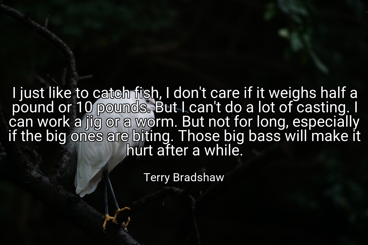 I just like to catch fish, I don't care if it weighs half a pound or 10 pounds. But I can't do a lot of casting. I can work a jig or a worm. But not for long, especially if the big ones are biting. Those big bass will make it hurt after a while. - Terry Bradshaw