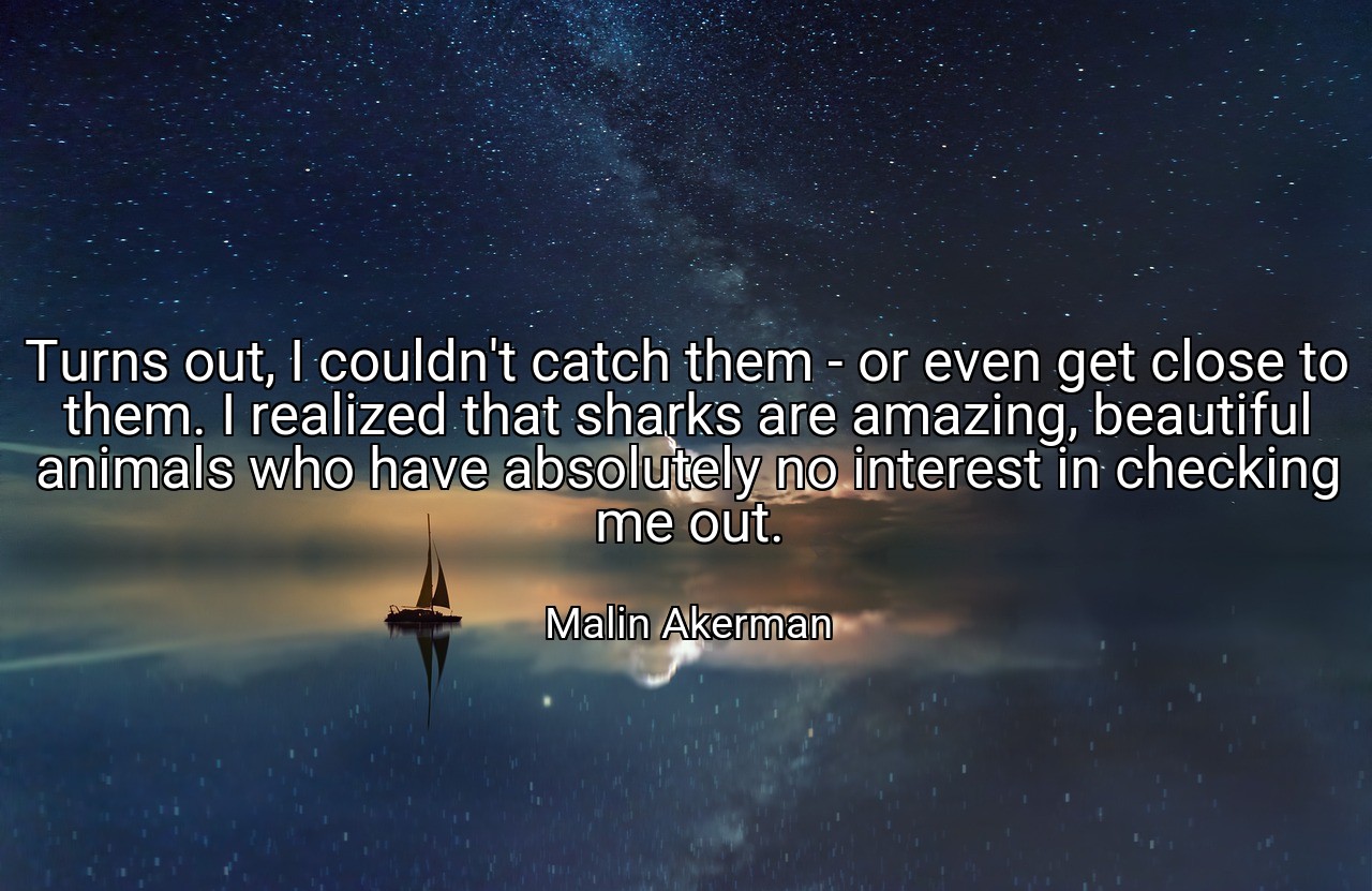 Turns out, I couldn't catch them - or even get close to them. I realized that sharks are amazing, beautiful animals who have absolutely no interest in checking me out. - Malin Akerman