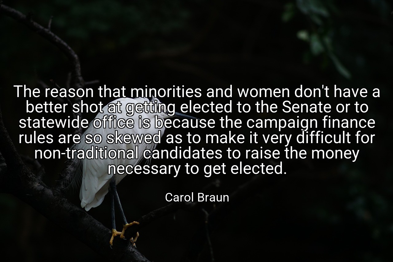 The reason that minorities and women don't have a better shot at getting elected to the Senate or to statewide office is because the campaign finance rules are so skewed as to make it very difficult for non-traditional candidates to raise the money necessary to get elected. - Carol Braun