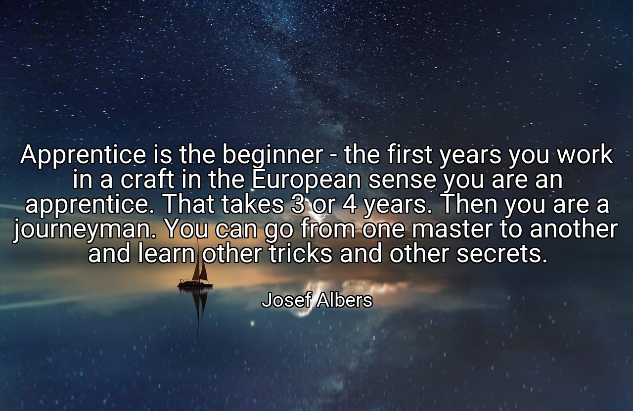 Apprentice is the beginner - the first years you work in a craft in the European sense you are an apprentice. That takes 3 or 4 years. Then you are a journeyman. You can go from one master to another and learn other tricks and other secrets. - Josef Albers