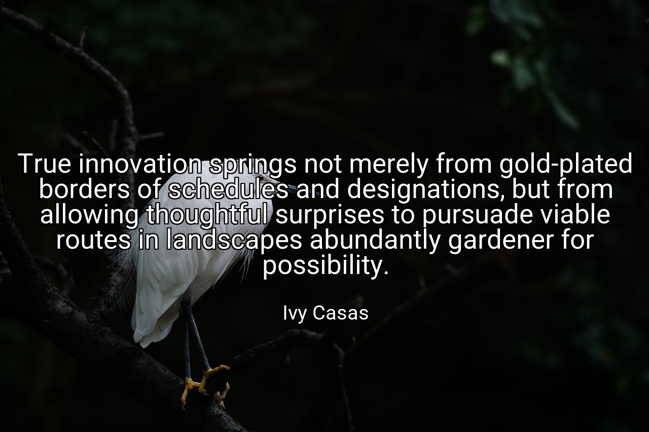 True innovation springs not merely from gold-plated borders of schedules and designations, but from allowing thoughtful surprises to pursuade viable routes in landscapes abundantly gardener for possibility. - Ivy Casas