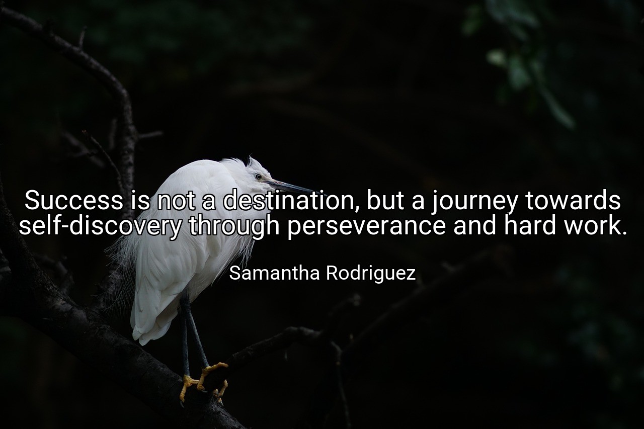 Success is not a destination, but a journey towards self-discovery through perseverance and hard work. - Samantha Rodriguez