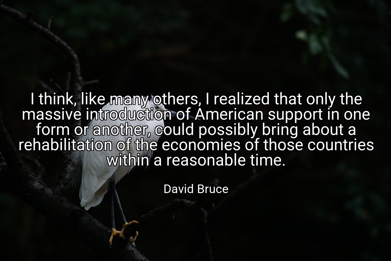 I think, like many others, I realized that only the massive introduction of American support in one form or another, could possibly bring about a rehabilitation of the economies of those countries within a reasonable time. - David Bruce