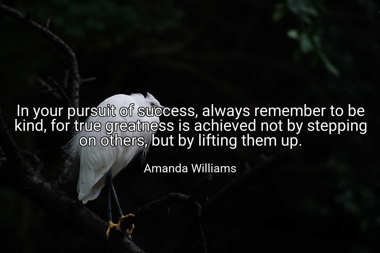 In your pursuit of success, always remember to be kind, for true greatness is achieved not by stepping on others, but by lifting them up. - Amanda Williams