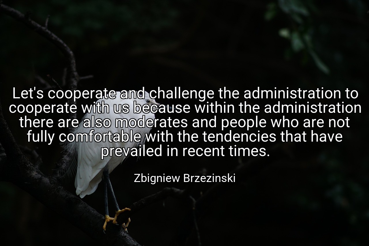 Let's cooperate and challenge the administration to cooperate with us because within the administration there are also moderates and people who are not fully comfortable with the tendencies that have prevailed in recent times. - Zbigniew Brzezinski