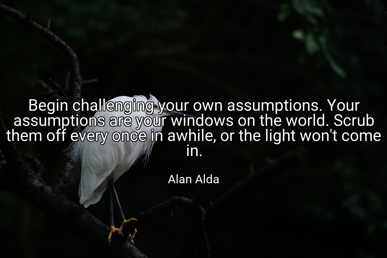 Begin challenging your own assumptions. Your assumptions are your windows on the world. Scrub them off every once in awhile, or the light won't come in. - Alan Alda