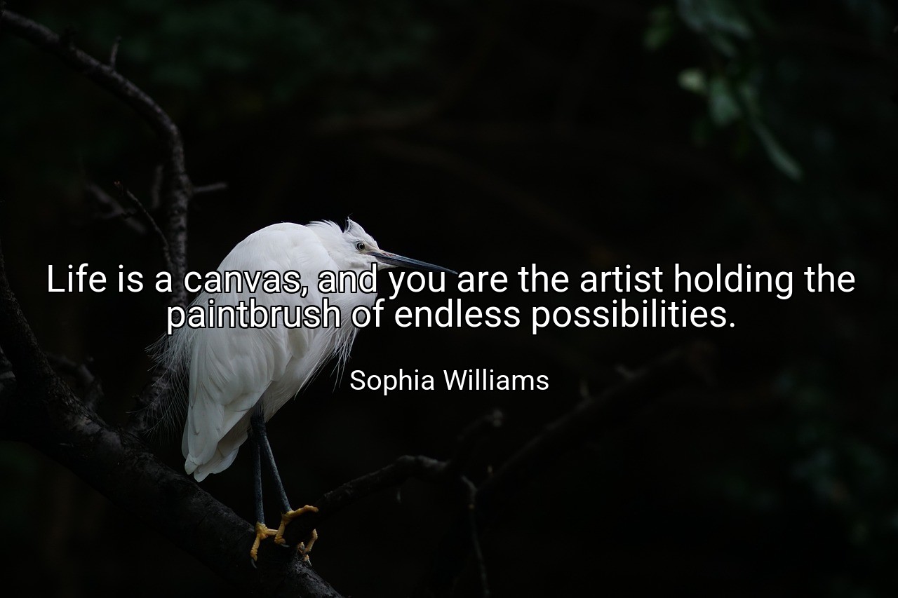 Life is a canvas, and you are the artist holding the paintbrush of endless possibilities. - Sophia Williams