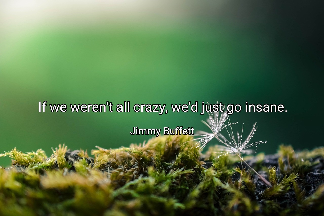 If we weren't all crazy, we'd just go insane. - Jimmy Buffett