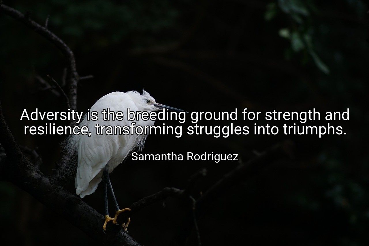 Adversity is the breeding ground for strength and resilience, transforming struggles into triumphs. - Samantha Rodriguez