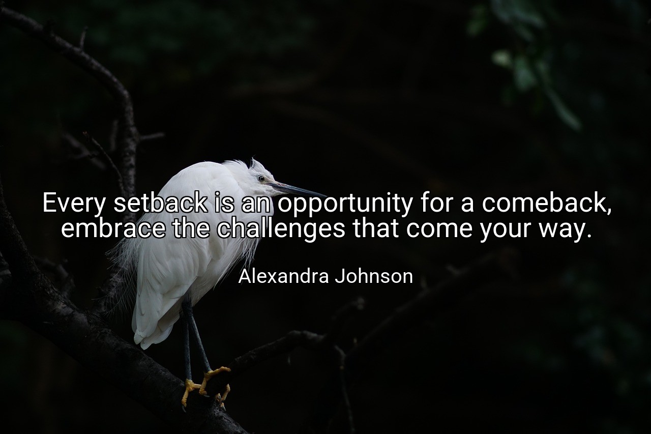 Every setback is an opportunity for a comeback, embrace the challenges that come your way. - Alexandra Johnson
