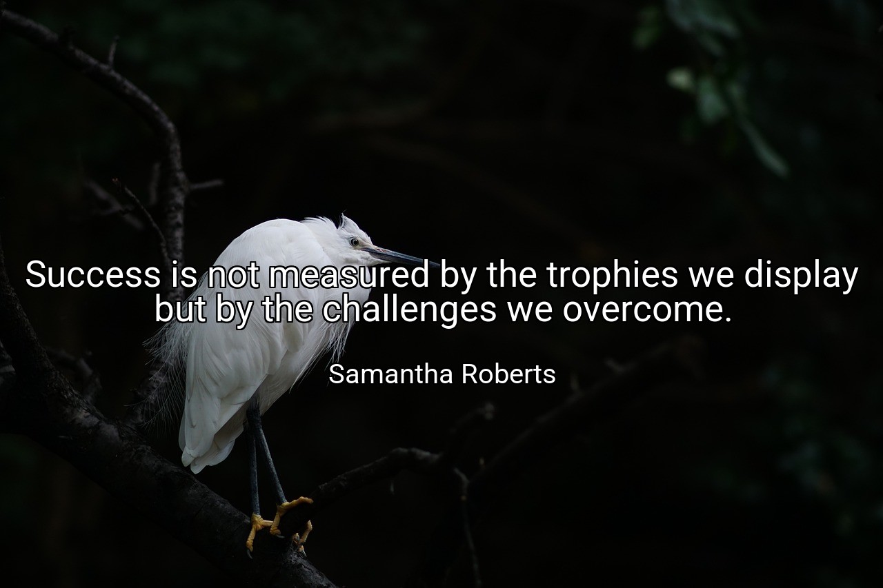 Success is not measured by the trophies we display but by the challenges we overcome. - Samantha Roberts