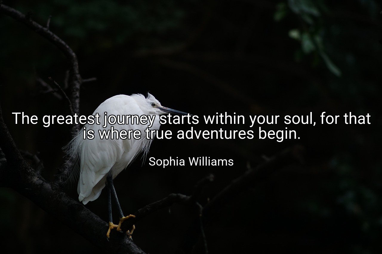 The greatest journey starts within your soul, for that is where true adventures begin. - Sophia Williams