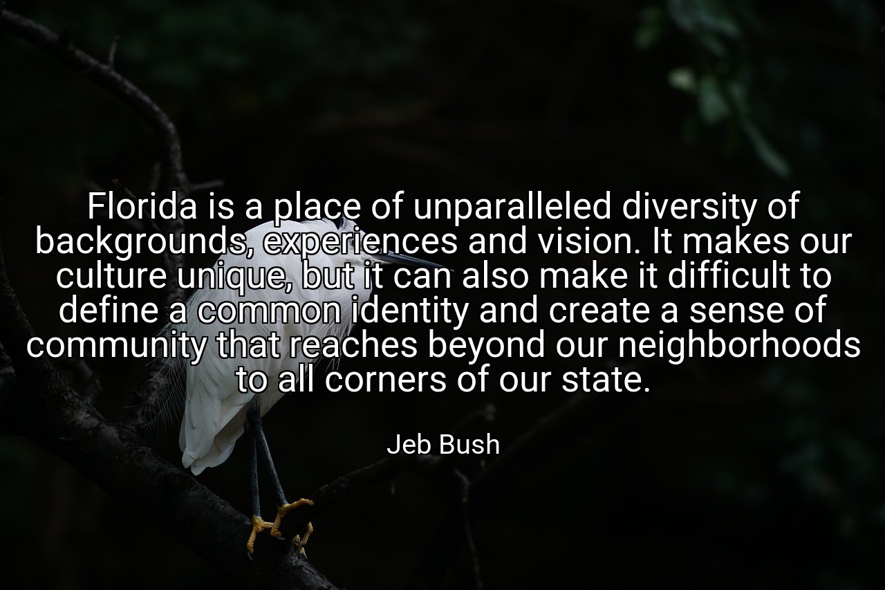 Florida is a place of unparalleled diversity of backgrounds, experiences and vision. It makes our culture unique, but it can also make it difficult to define a common identity and create a sense of community that reaches beyond our neighborhoods to all corners of our state. - Jeb Bush
