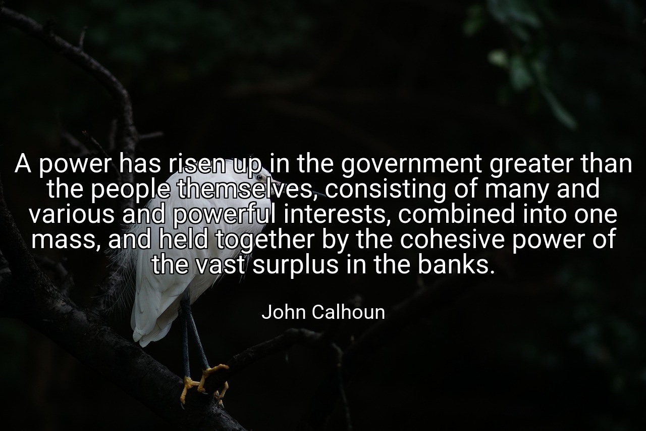 A power has risen up in the government greater than the people themselves, consisting of many and various and powerful interests, combined into one mass, and held together by the cohesive power of the vast surplus in the banks. - John Calhoun