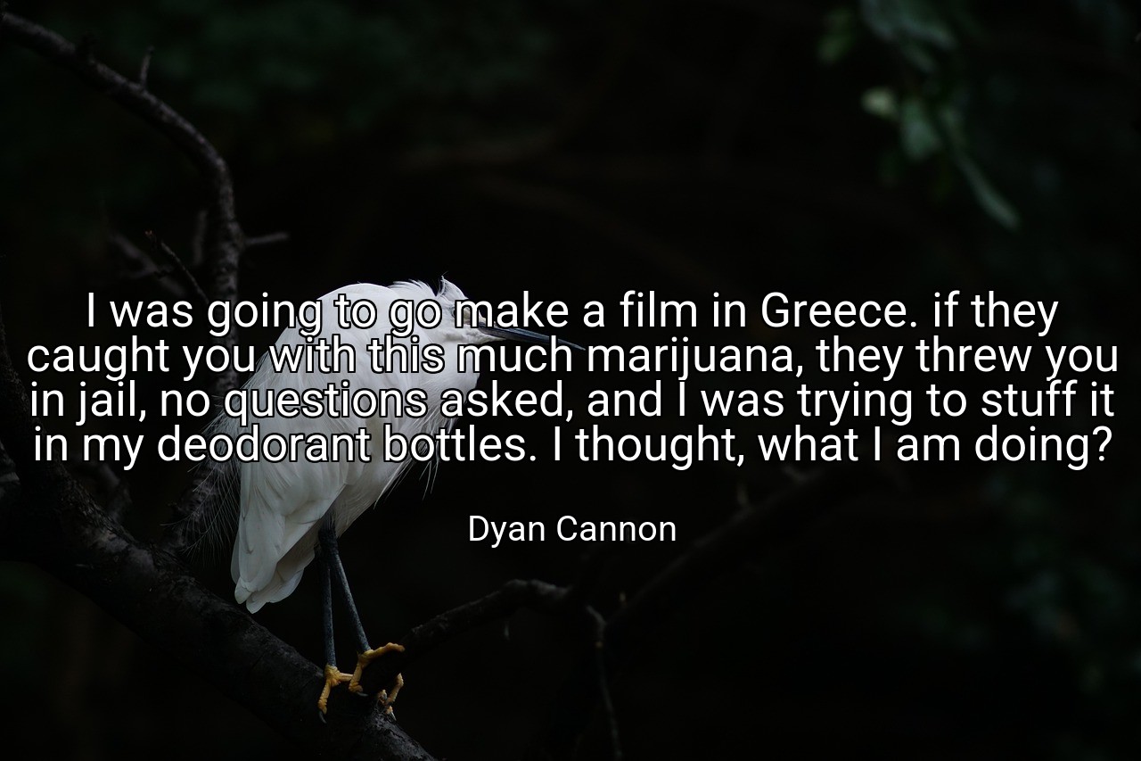 I was going to go make a film in Greece. if they caught you with this much marijuana, they threw you in jail, no questions asked, and I was trying to stuff it in my deodorant bottles. I thought, what I am doing? - Dyan Cannon