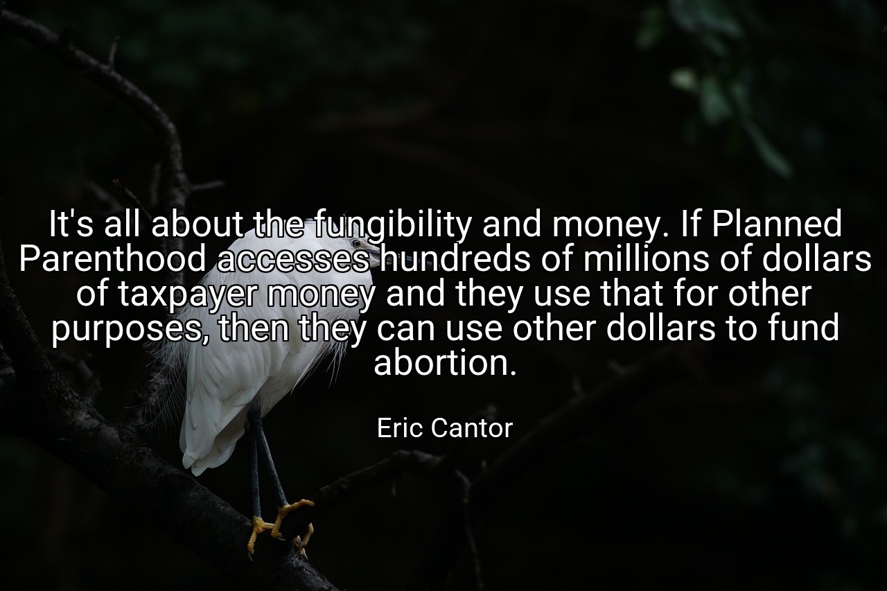 It's all about the fungibility and money. If Planned Parenthood accesses hundreds of millions of dollars of taxpayer money and they use that for other purposes, then they can use other dollars to fund abortion. - Eric Cantor
