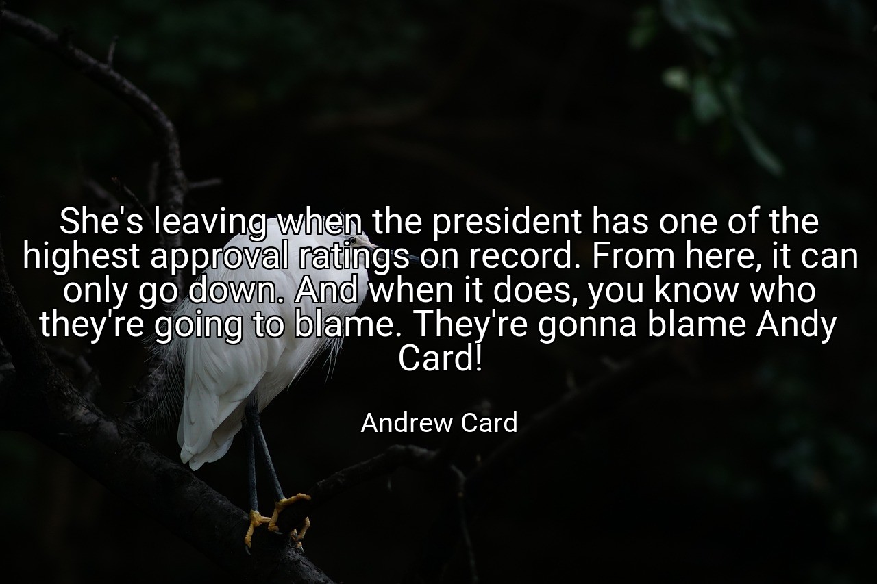 She's leaving when the president has one of the highest approval ratings on record. From here, it can only go down. And when it does, you know who they're going to blame. They're gonna blame Andy Card! - Andrew Card