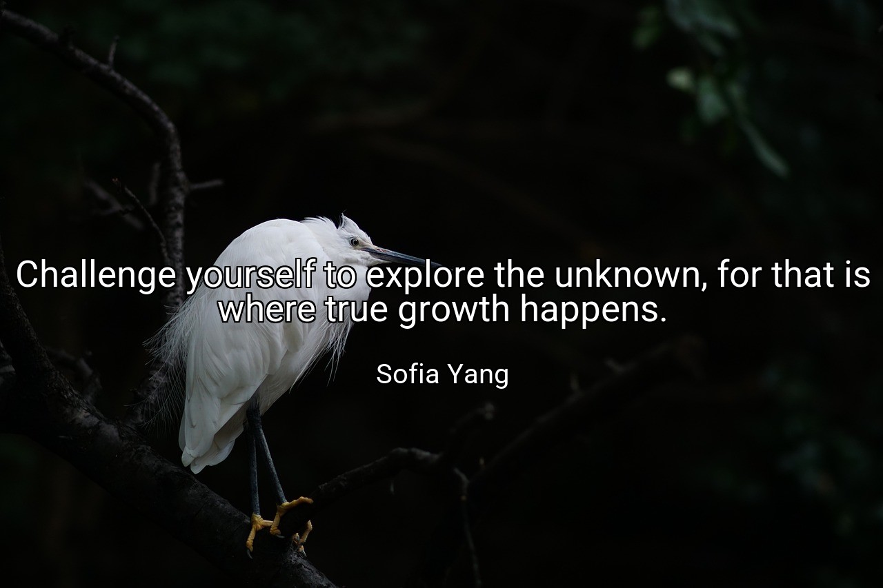 Challenge yourself to explore the unknown, for that is where true growth happens. - Sofia Yang