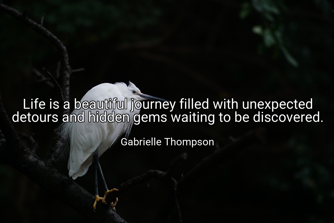 Life is a beautiful journey filled with unexpected detours and hidden gems waiting to be discovered. - Gabrielle Thompson