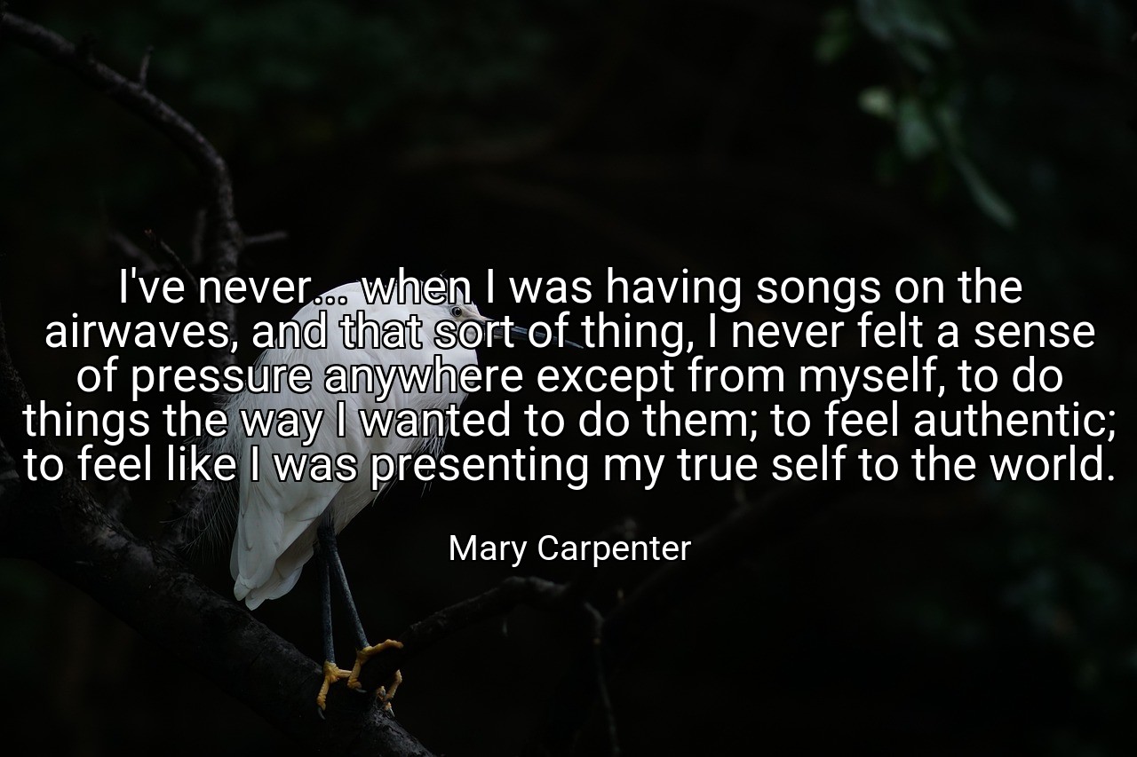 I've never... when I was having songs on the airwaves, and that sort of thing, I never felt a sense of pressure anywhere except from myself, to do things the way I wanted to do them; to feel authentic; to feel like I was presenting my true self to the world. - Mary Carpenter