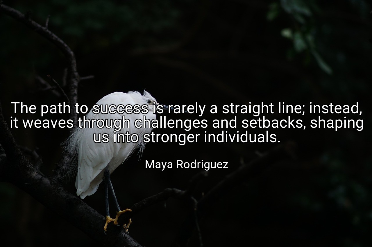The path to success is rarely a straight line; instead, it weaves through challenges and setbacks, shaping us into stronger individuals. - Maya Rodriguez