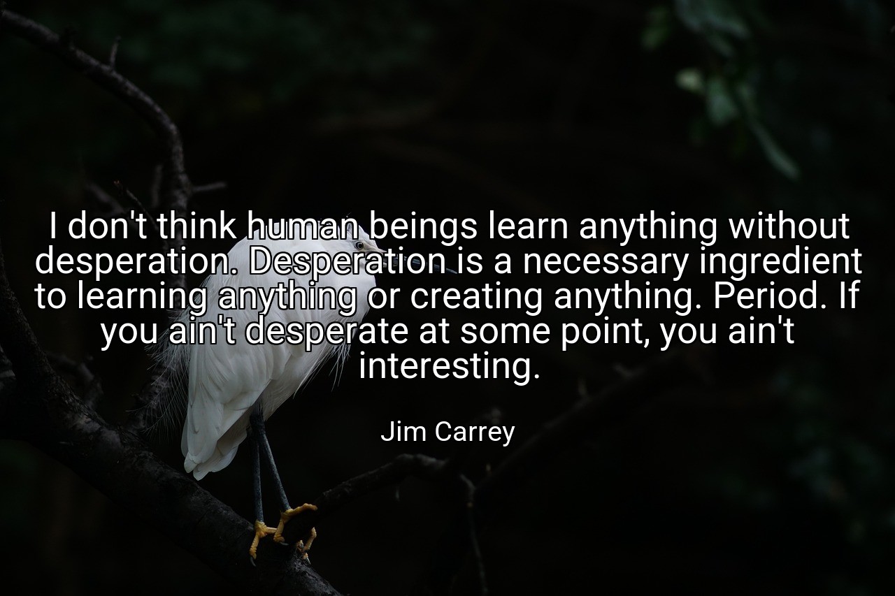 I don't think human beings learn anything without desperation. Desperation is a necessary ingredient to learning anything or creating anything. Period. If you ain't desperate at some point, you ain't interesting. - Jim Carrey