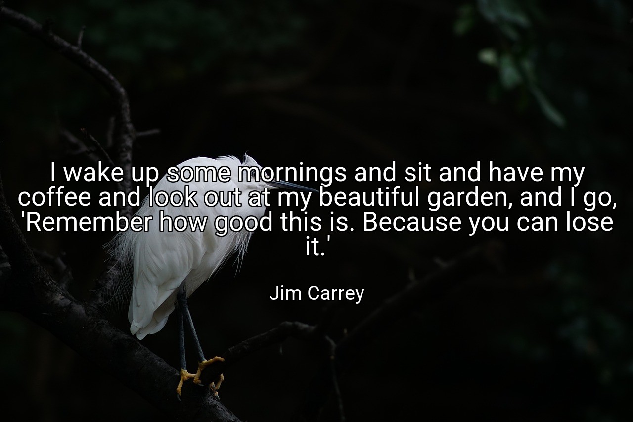 I wake up some mornings and sit and have my coffee and look out at my beautiful garden, and I go, 'Remember how good this is. Because you can lose it.' - Jim Carrey