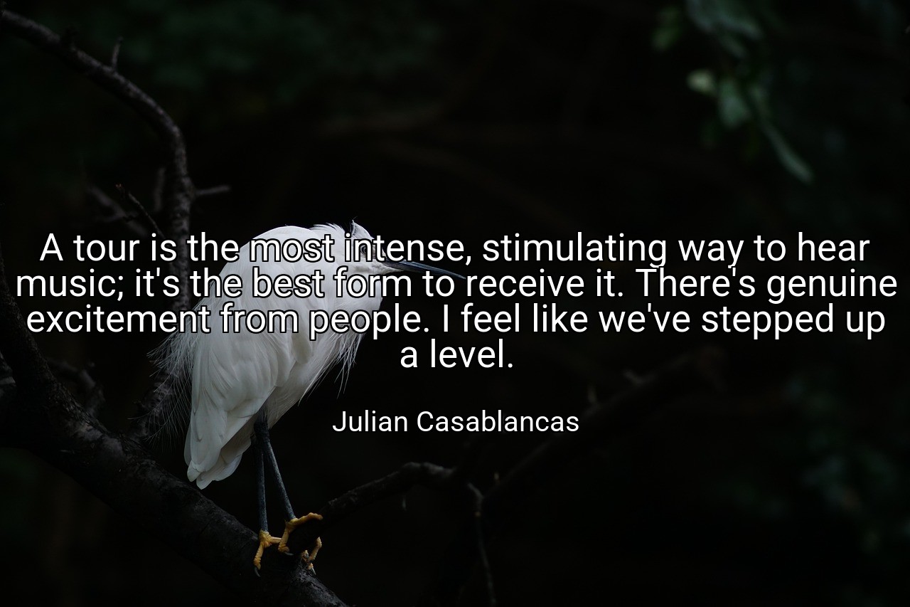 A tour is the most intense, stimulating way to hear music; it's the best form to receive it. There's genuine excitement from people. I feel like we've stepped up a level. - Julian Casablancas