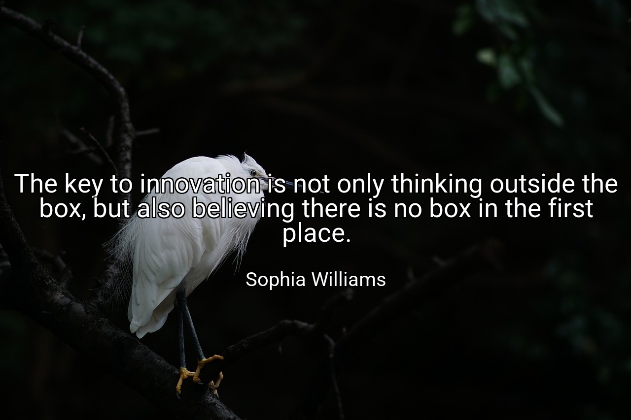 The key to innovation is not only thinking outside the box, but also believing there is no box in the first place. - Sophia Williams