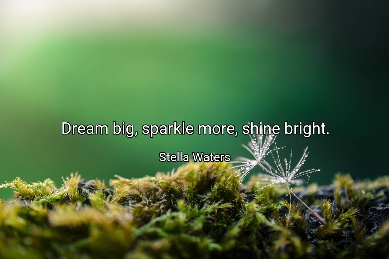 Dream big, sparkle more, shine bright. - Stella Waters