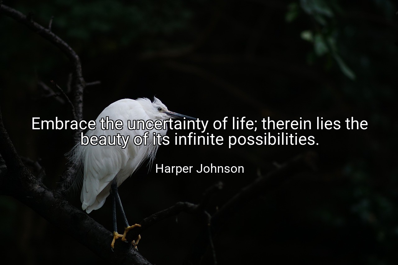 Embrace the uncertainty of life; therein lies the beauty of its infinite possibilities. - Harper Johnson