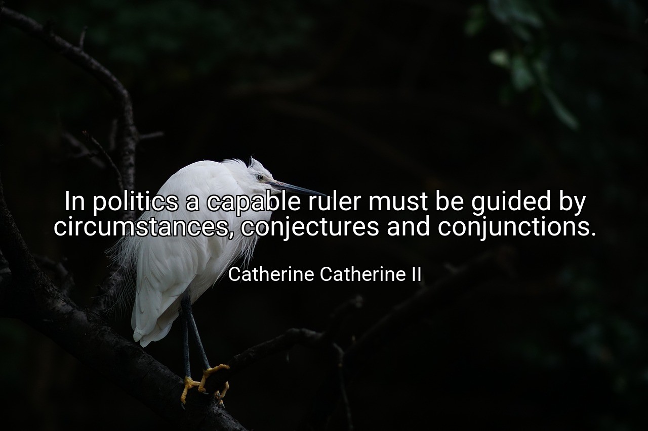 In politics a capable ruler must be guided by circumstances, conjectures and conjunctions. - Catherine Catherine II