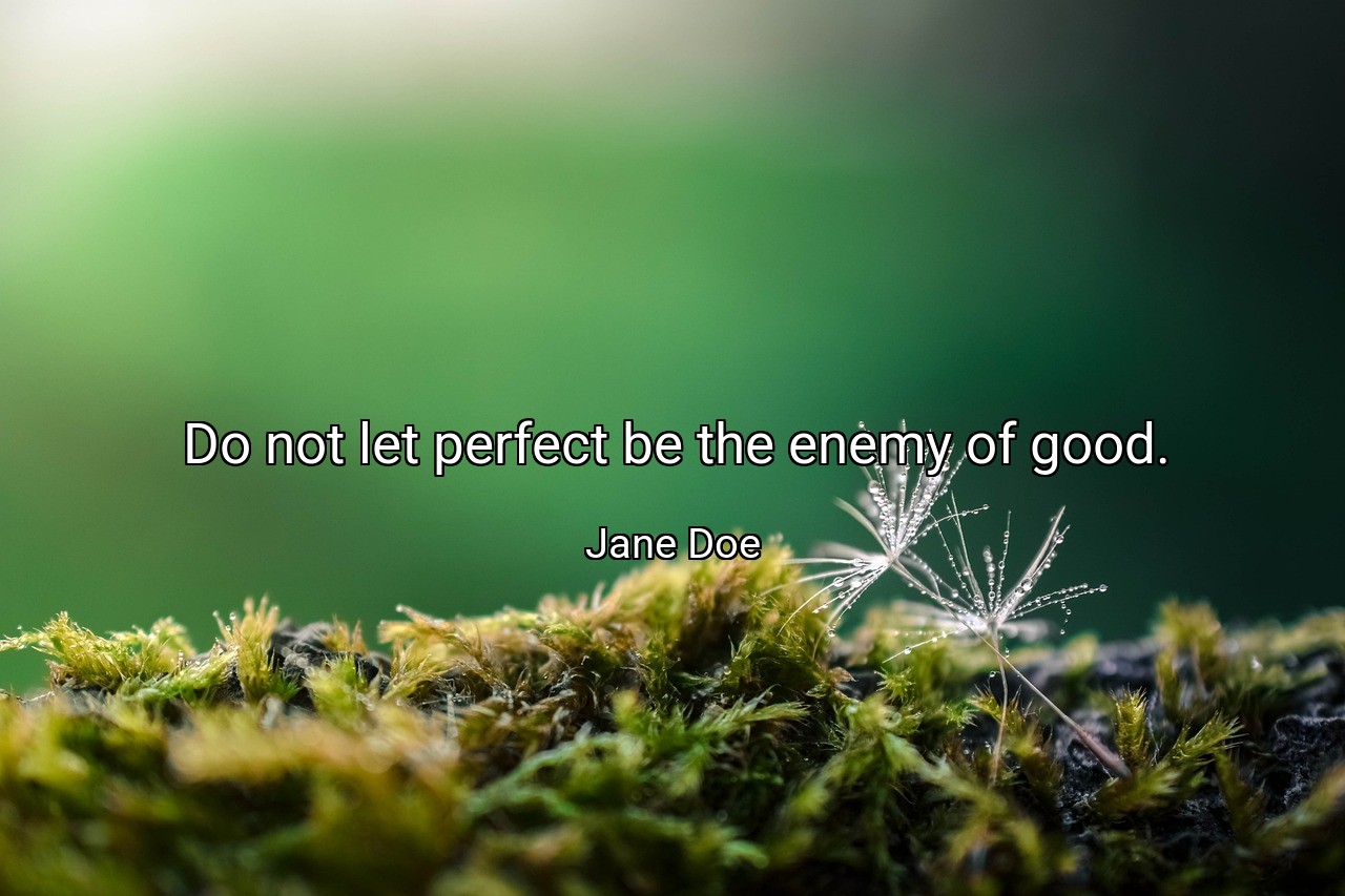 Do not let perfect be the enemy of good. - Jane Doe