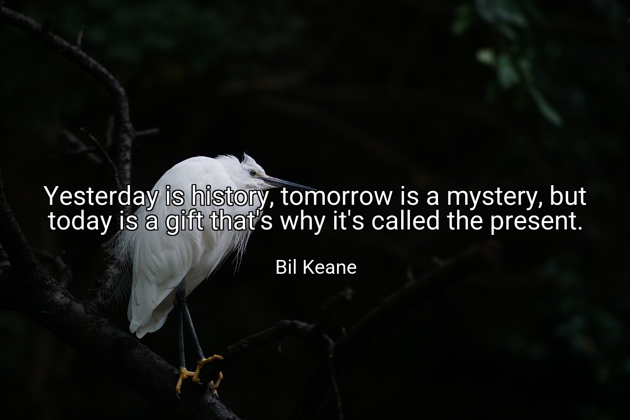 Yesterday is history, tomorrow is a mystery, but today is a gift that's why it's called the present. - Bil Keane