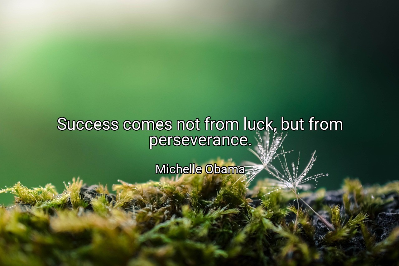 Success comes not from luck, but from perseverance. - Michelle Obama