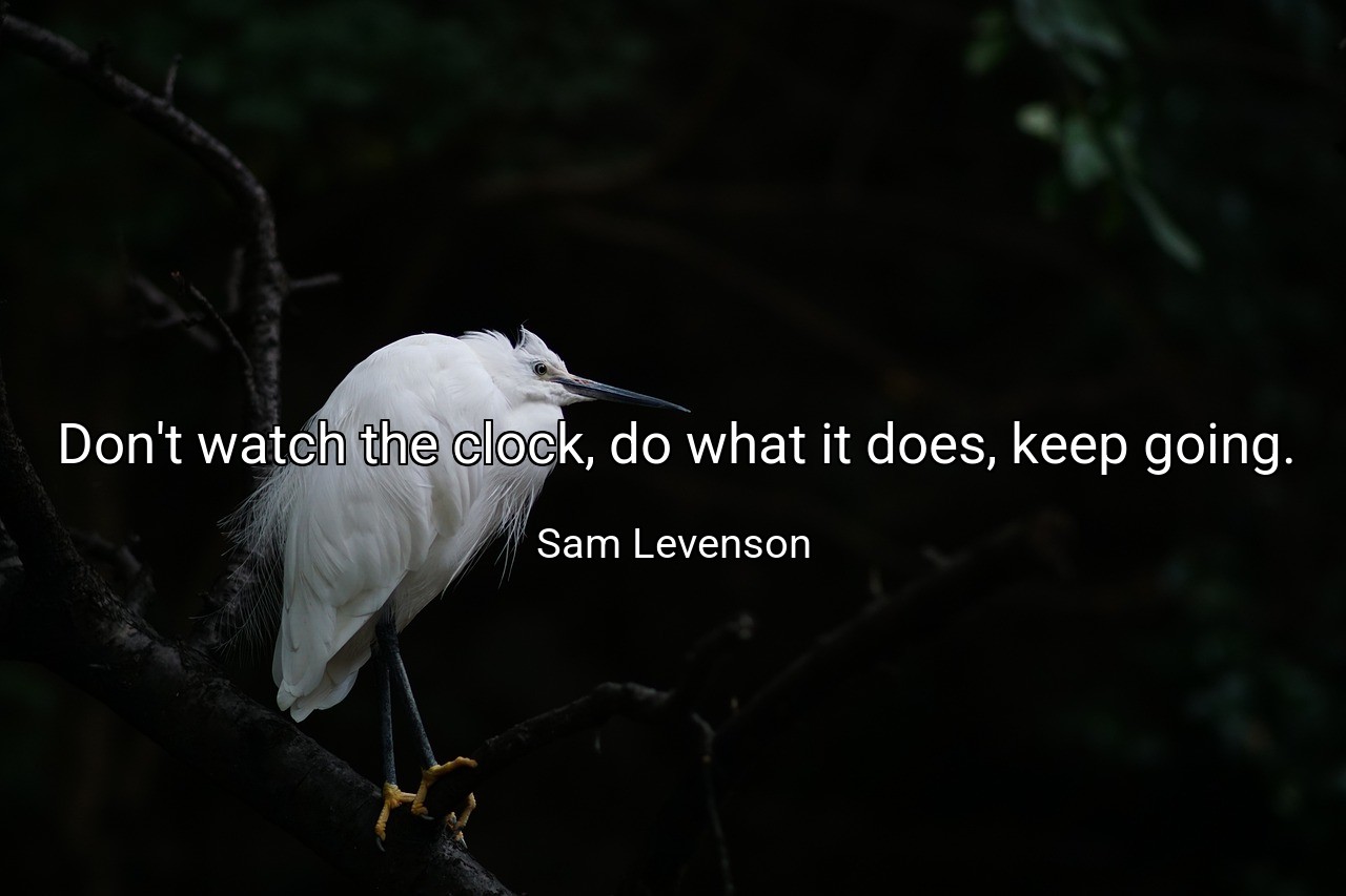 Don't watch the clock, do what it does, keep going. - Sam Levenson