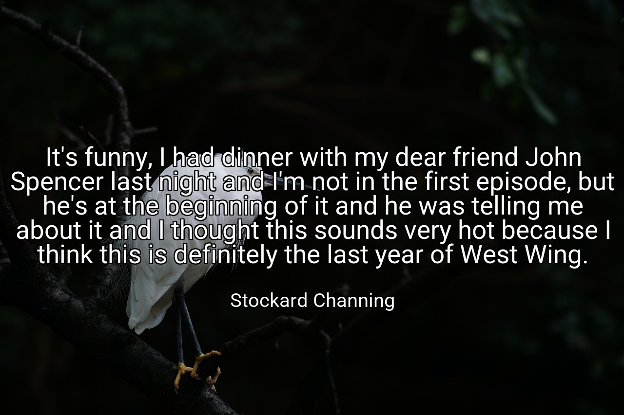 It's funny, I had dinner with my dear friend John Spencer last night and I'm not in the first episode, but he's at the beginning of it and he was telling me about it and I thought this sounds very hot because I think this is definitely the last year of West Wing. - Stockard Channing