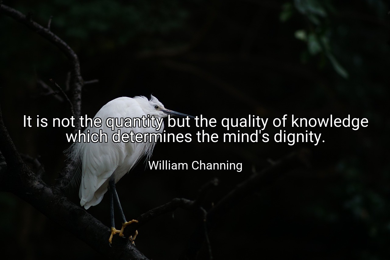 It is not the quantity but the quality of knowledge which determines the mind's dignity. - William Channing