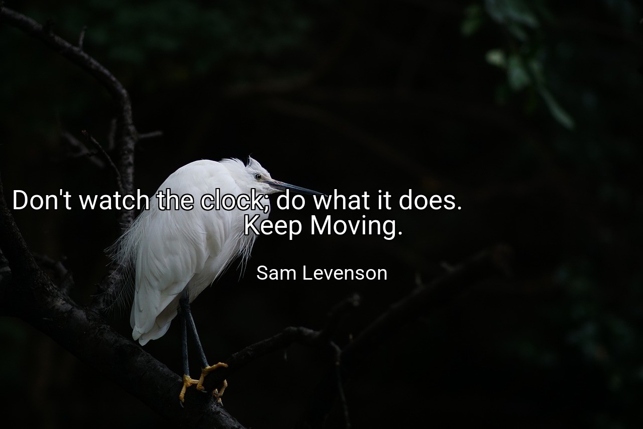 Don't watch the clock; do what it does.                                                      Keep Moving. - Sam Levenson