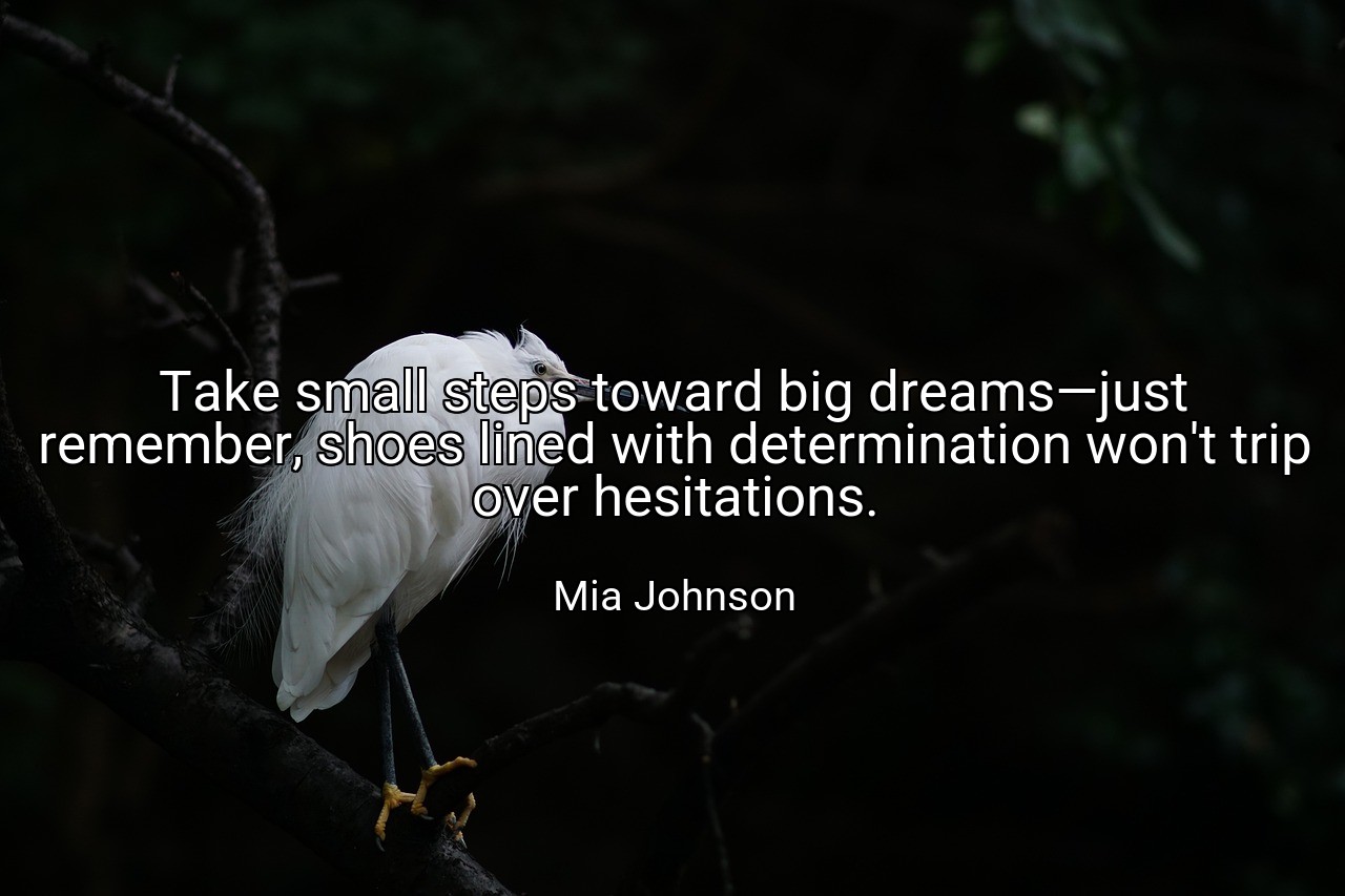 Take small steps toward big dreams—just remember, shoes lined with determination won't trip over hesitations. - Mia Johnson