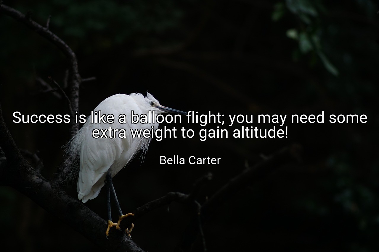 Success is like a balloon flight; you may need some extra weight to gain altitude! - Bella Carter