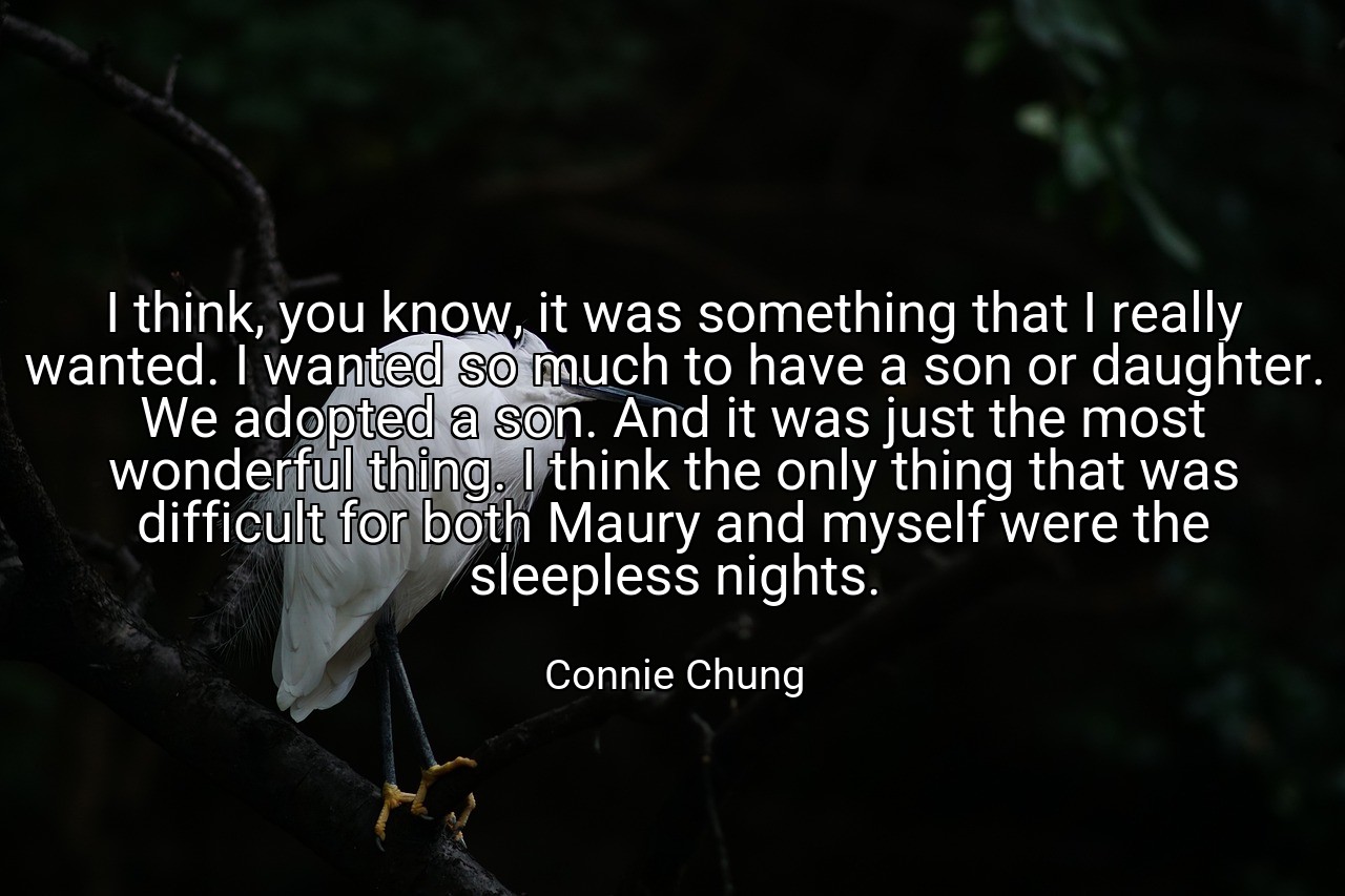I think, you know, it was something that I really wanted. I wanted so much to have a son or daughter. We adopted a son. And it was just the most wonderful thing. I think the only thing that was difficult for both Maury and myself were the sleepless nights. - Connie Chung