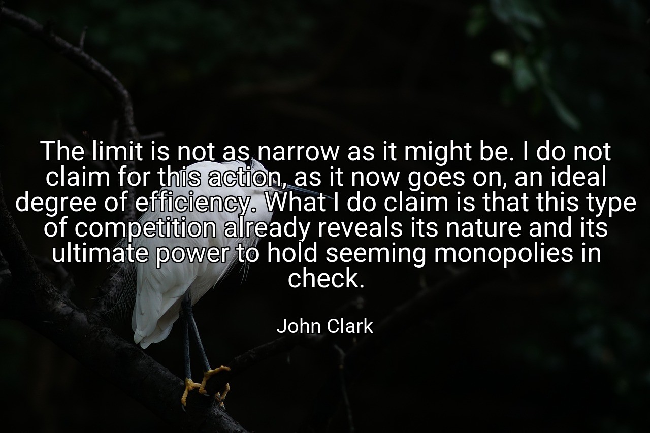 The limit is not as narrow as it might be. I do not claim for this action, as it now goes on, an ideal degree of efficiency. What I do claim is that this type of competition already reveals its nature and its ultimate power to hold seeming monopolies in check. - John Clark