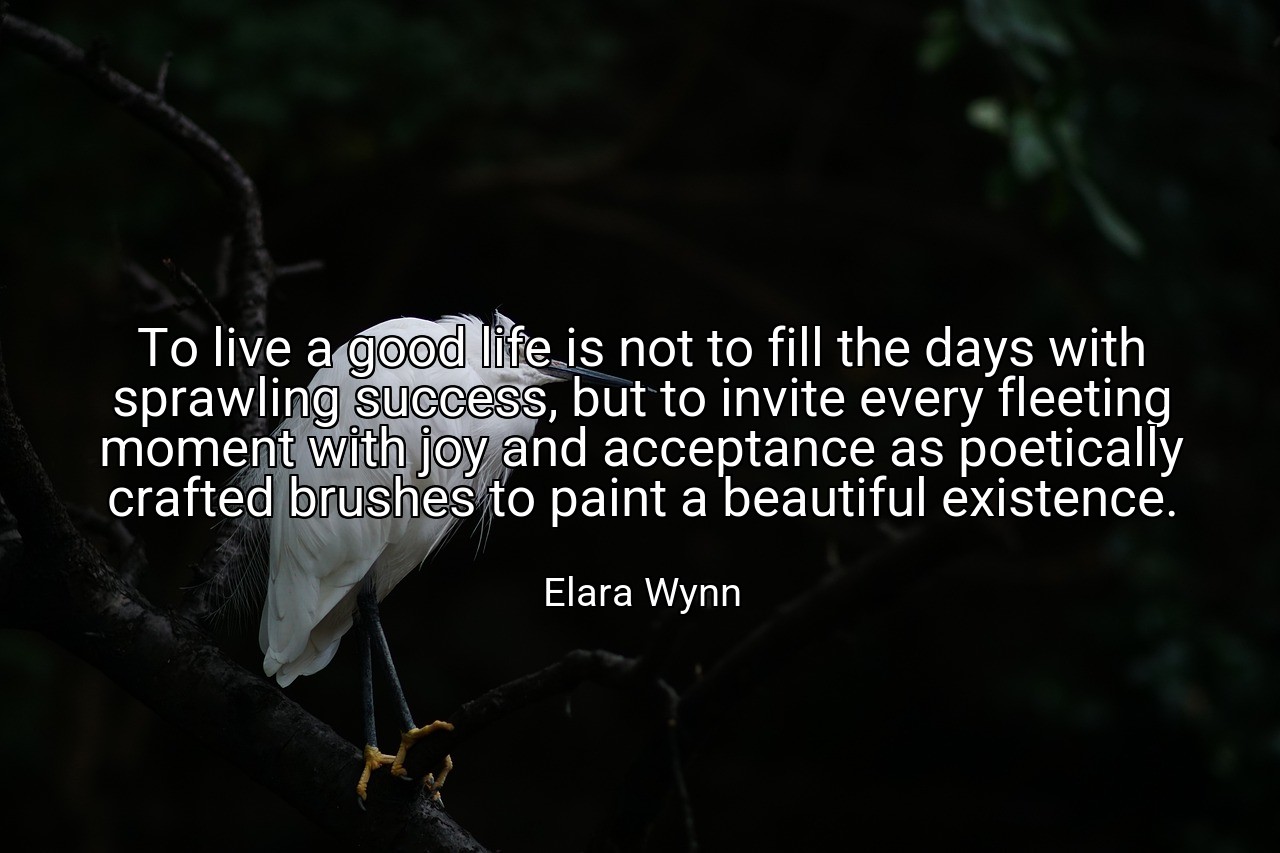 To live a good life is not to fill the days with sprawling success, but to invite every fleeting moment with joy and acceptance as poetically crafted brushes to paint a beautiful existence. - Elara Wynn