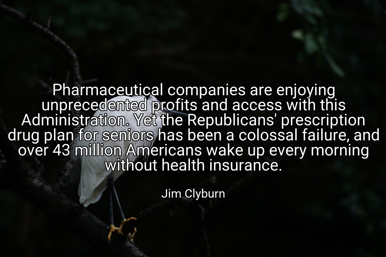 Pharmaceutical companies are enjoying unprecedented profits and access with this Administration. Yet the Republicans' prescription drug plan for seniors has been a colossal failure, and over 43 million Americans wake up every morning without health insurance. - Jim Clyburn